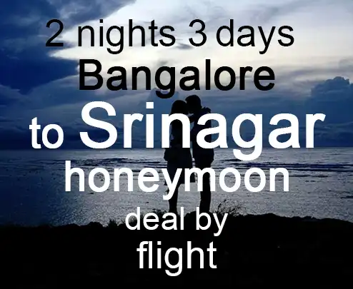 2 nights 3 days bangalore to srinagar honeymoon deal by flight