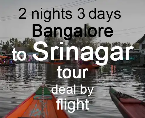 2 nights 3 days bangalore to srinagar tour deal by flight