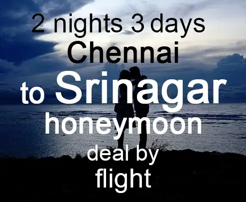 2 nights 3 days chennai to srinagar honeymoon deal by flight