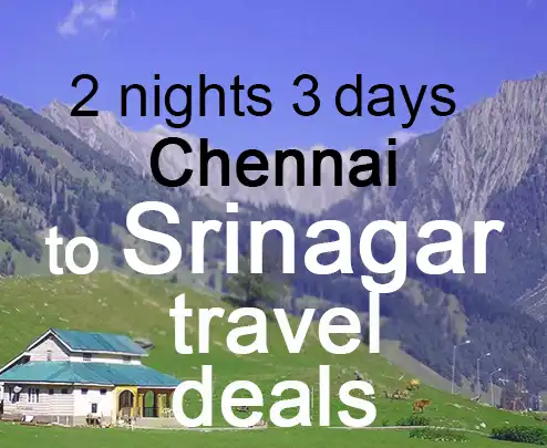 2 nights 3 days chennai to srinagar travel deals