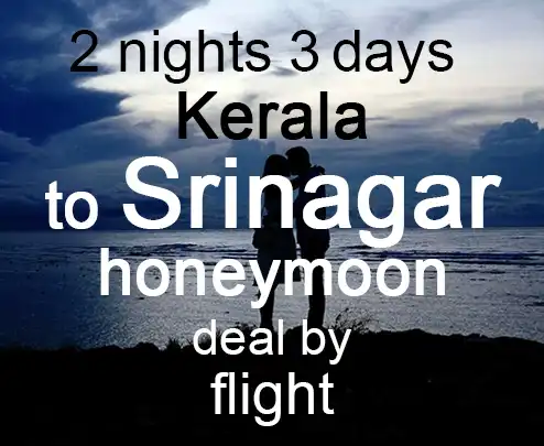 2 nights 3 days kerala to srinagar honeymoon deal by flight