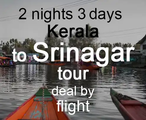 2 nights 3 days kerala to srinagar tour deal by flight