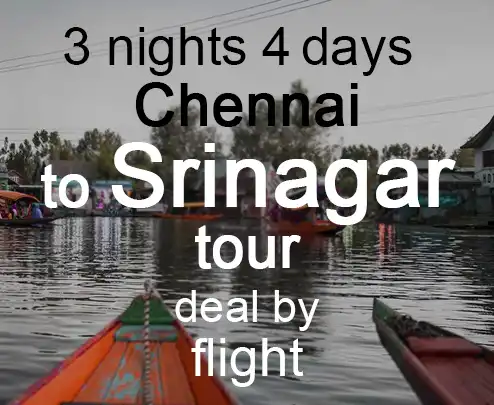 3 nights 4 days chennai to srinagar tour deal by flight