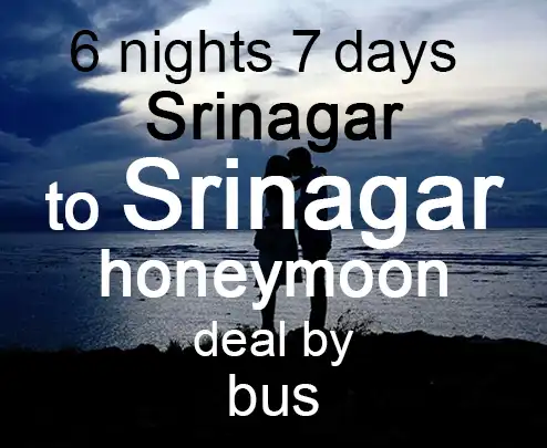 6 nights 7 days srinagar to srinagar honeymoon deal by bus