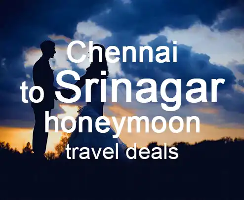 Chennai to srinagar honeymoon travel deals