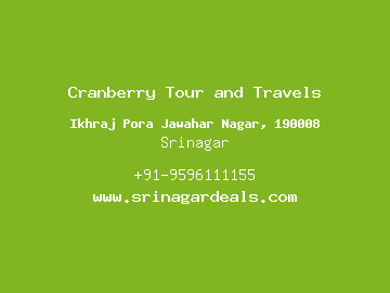 Cranberry Tour and Travels, Srinagar
