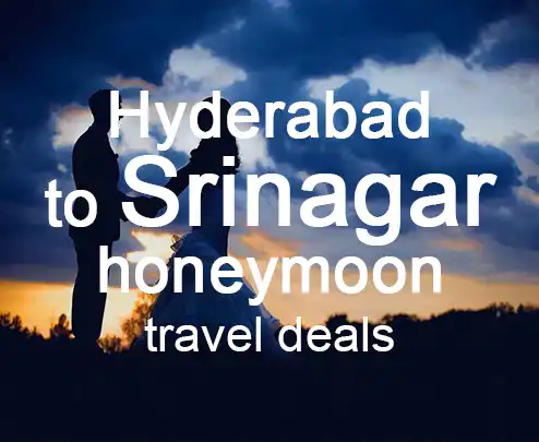 Hyderabad to srinagar honeymoon travel deals