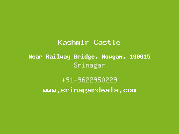 Kashmir Castle, Srinagar