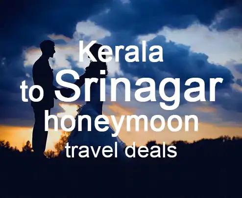 Kerala to srinagar honeymoon travel deals