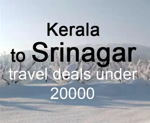 Kerala to srinagar travel deals under 20000