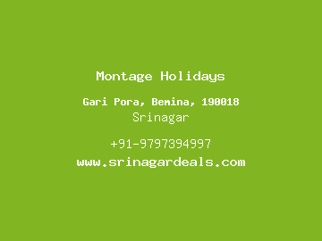 Montage Holidays, Srinagar