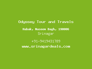 Odyssey Tour and Travels, Srinagar