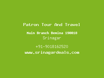 Patron Tour And Travel, Srinagar