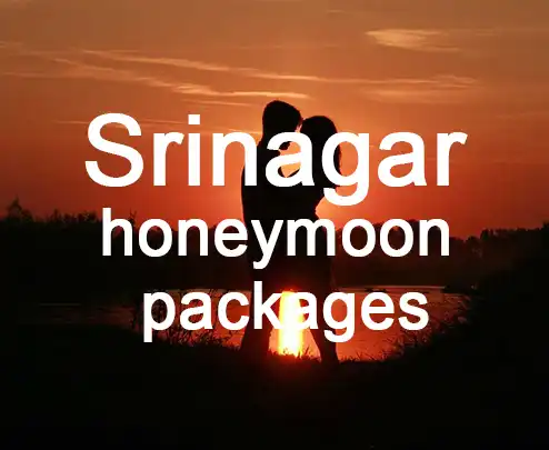 Srinagar honeymoon packages
