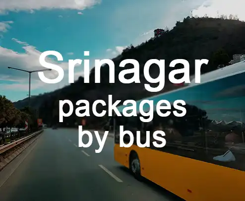 Srinagar packages by bus