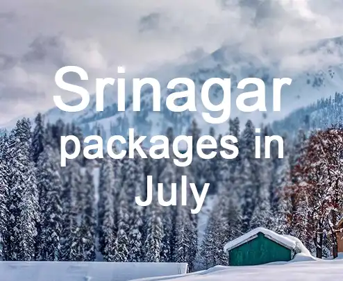 Srinagar packages in july