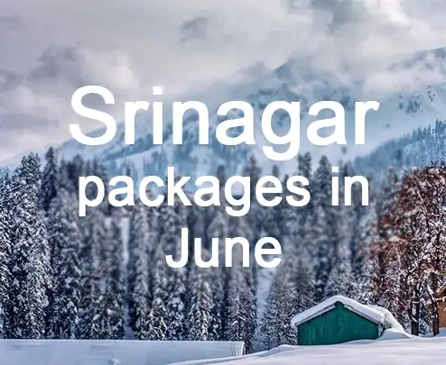 Srinagar packages in june