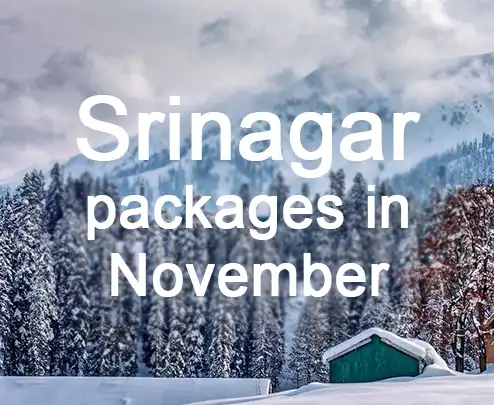 Srinagar packages in november