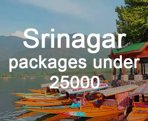 Srinagar packages under 25000