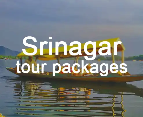 Srinagar tour packages