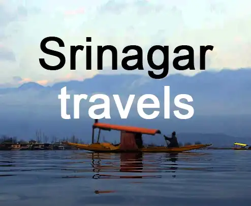 Srinagar travels