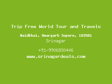 Trip Free World Tour and Travels, Srinagar