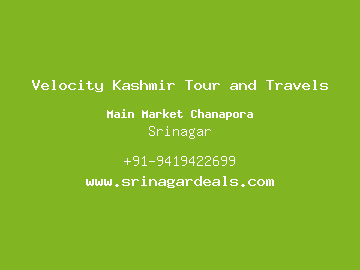 Velocity Kashmir Tour and Travels, Srinagar