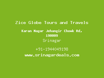 Zice Globe Tours and Travels, Srinagar